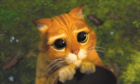 KOCOUR V BOTÁCH (USA 2011)